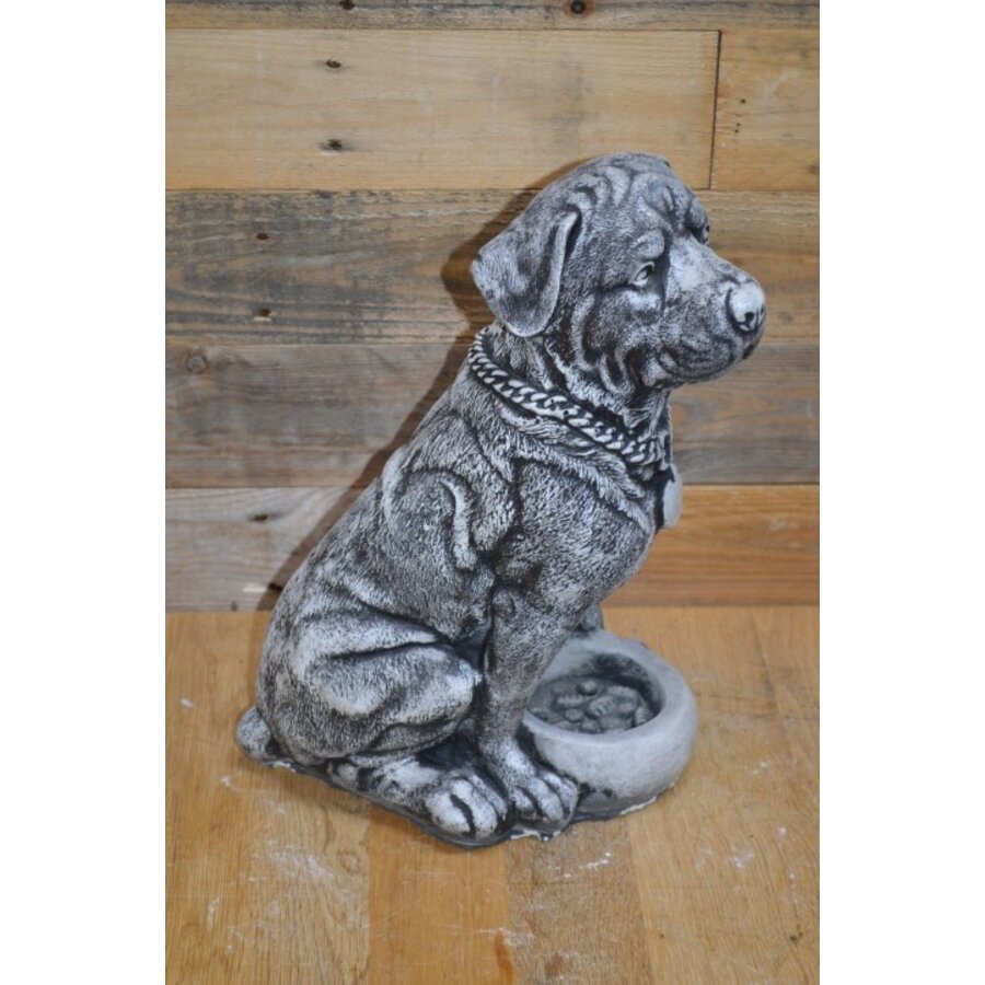 Betonnen Rottweiler met voerbakje – waakhond in zithouding, gedetailleerd beeld-2