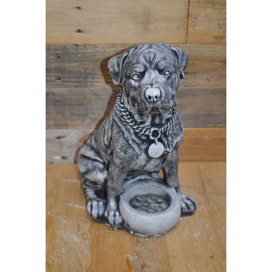 Betonnen Rottweiler met voerbakje – waakhond in zithouding, gedetailleerd beeld-1