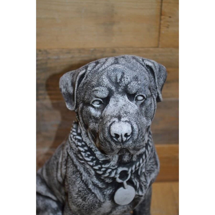 Betonnen Rottweiler met voerbakje – waakhond in zithouding, gedetailleerd beeld-3