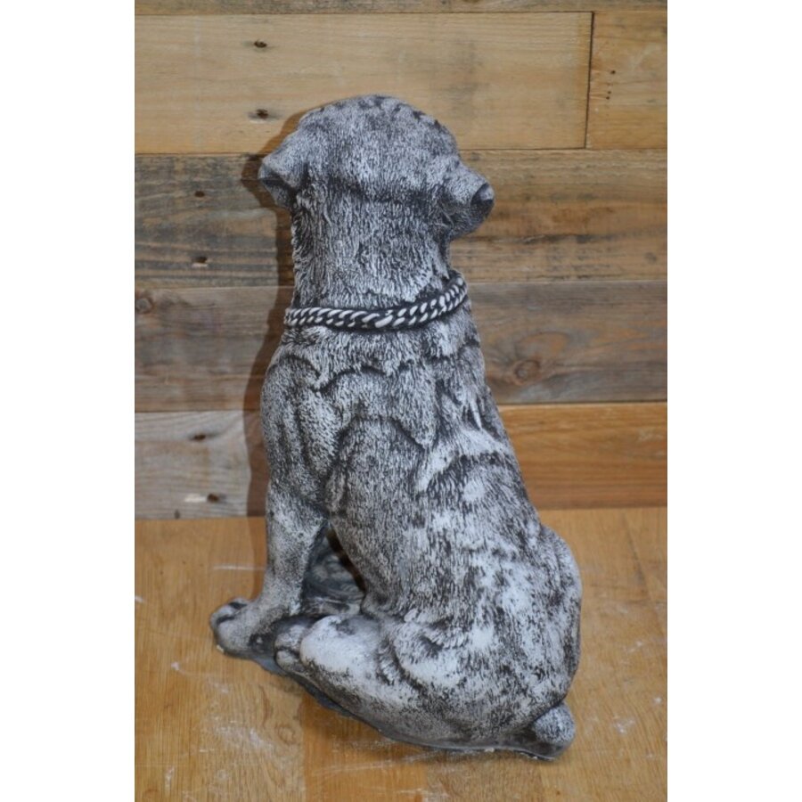 Betonnen Rottweiler met voerbakje – waakhond in zithouding, gedetailleerd beeld-5
