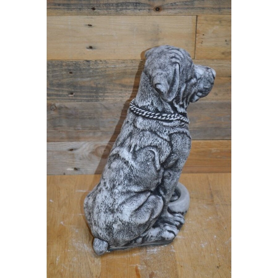 Betonnen Rottweiler met voerbakje – waakhond in zithouding, gedetailleerd beeld-6