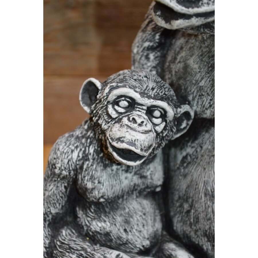 Betonnen chimpansee met jong – decoratief tuinbeeld met dierlijke uitstraling-4