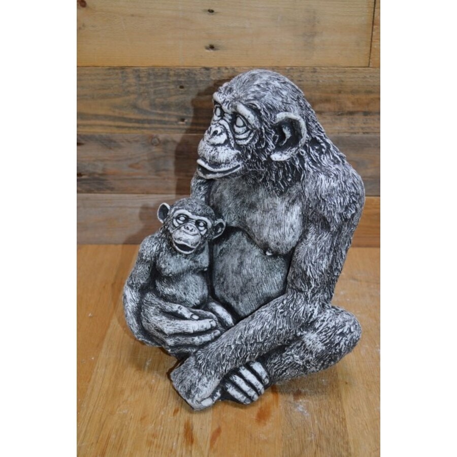 Betonnen chimpansee met jong – decoratief tuinbeeld met dierlijke uitstraling-5