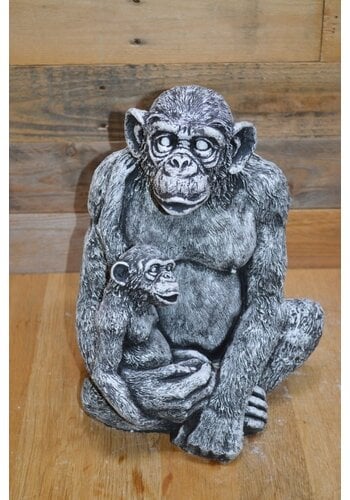 Betonnen beeld chimpansee met jong 