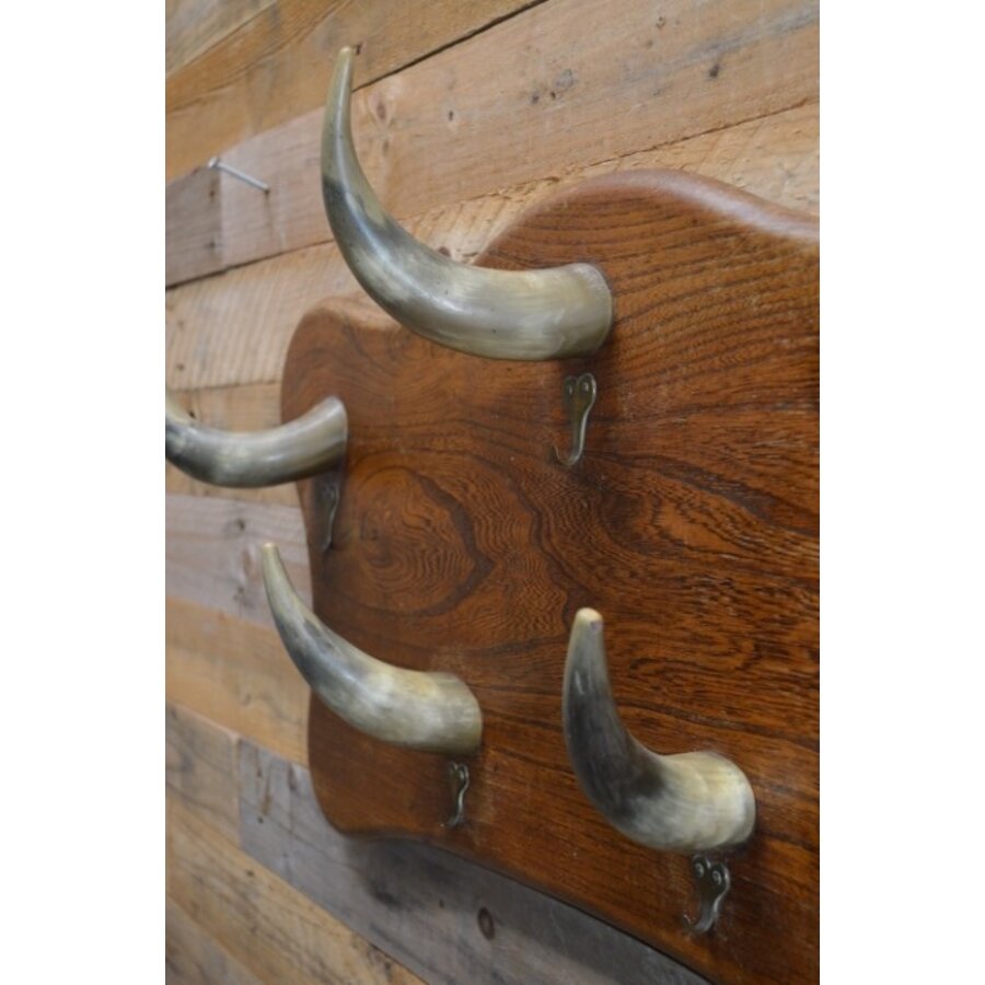 Vintage kapstok met horens-3