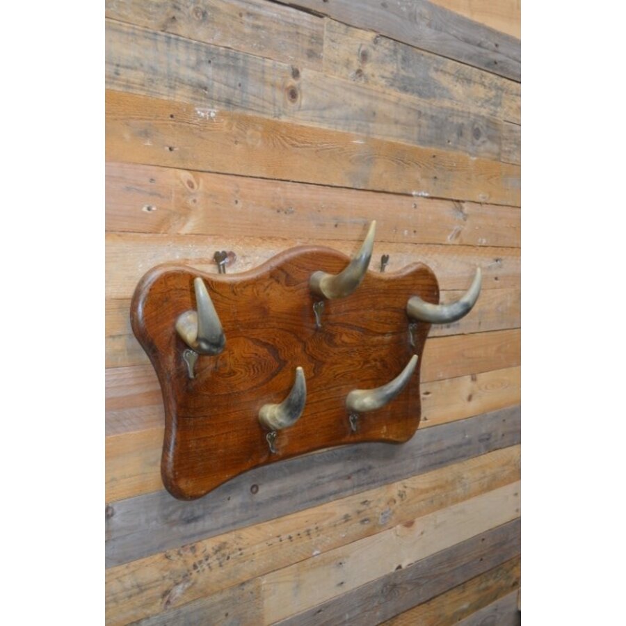 Vintage kapstok met horens-6