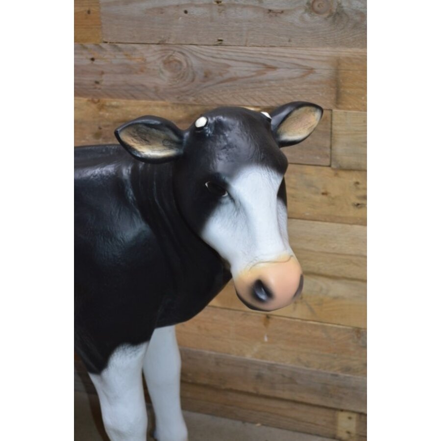 Polyester dierenbeeld zwart bont kalf voor tuin en interieur-2