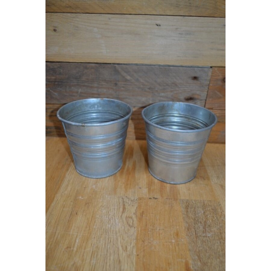 Zinken bloempotjes set van 2-1