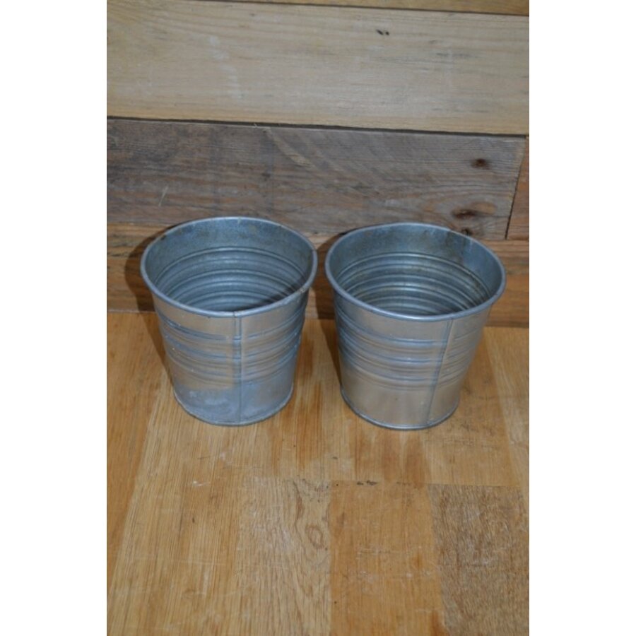 Zinken bloempotjes set van 2-2
