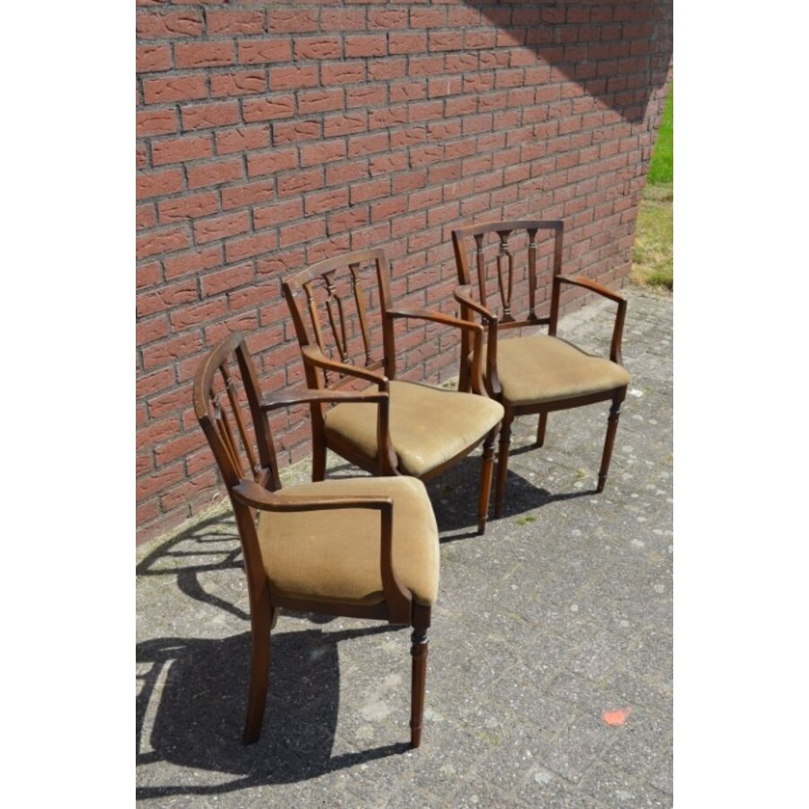 Klassieke Georgiaaanse stijl mahoniehouten stoeltjes 3 stuks-3