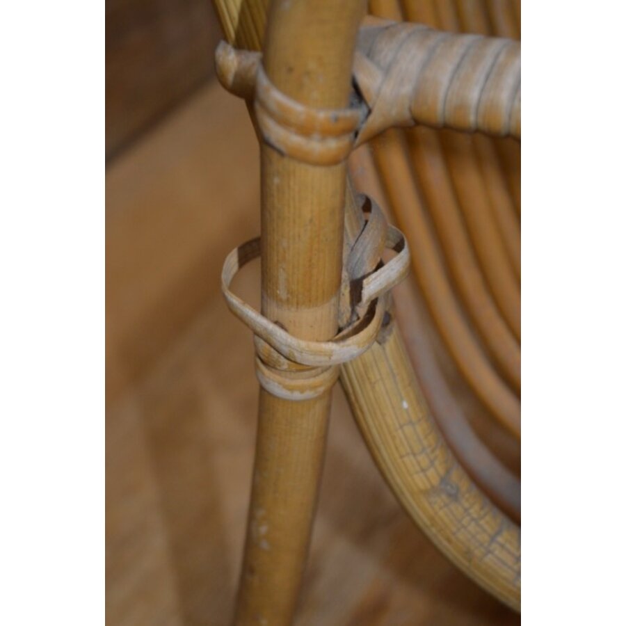 Rotan vintage lectuurbak-3