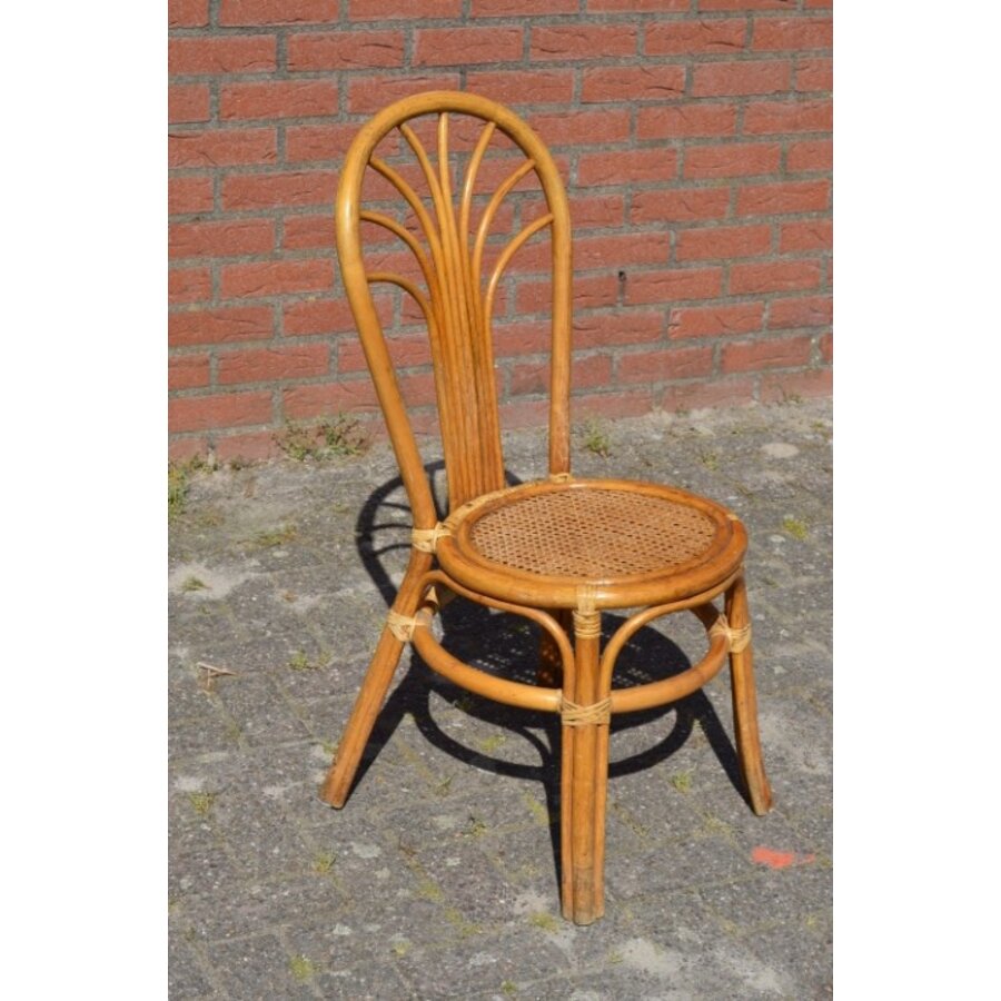 Rotan stoeltje met pauwenstaart waaier boog-1