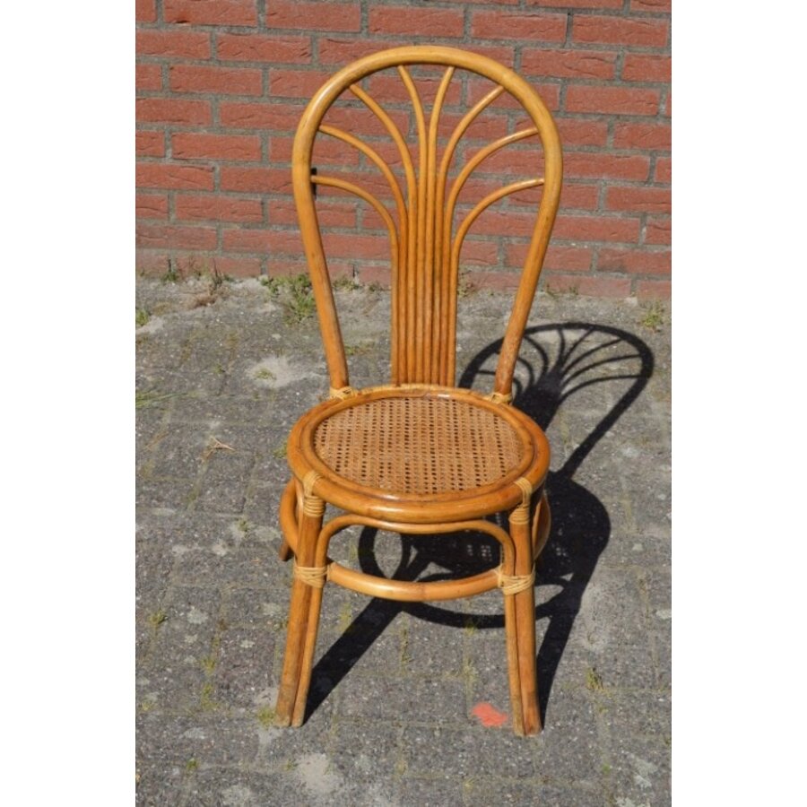 Rotan stoeltje met pauwenstaart waaier boog-2