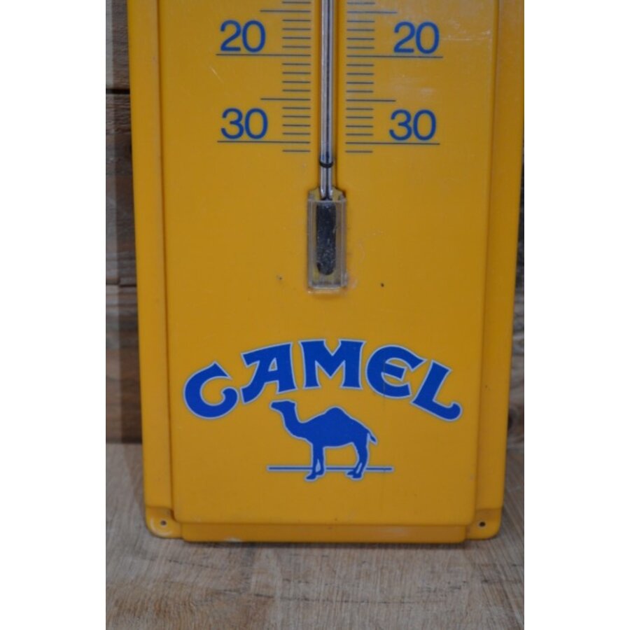 Camel thermometer-3