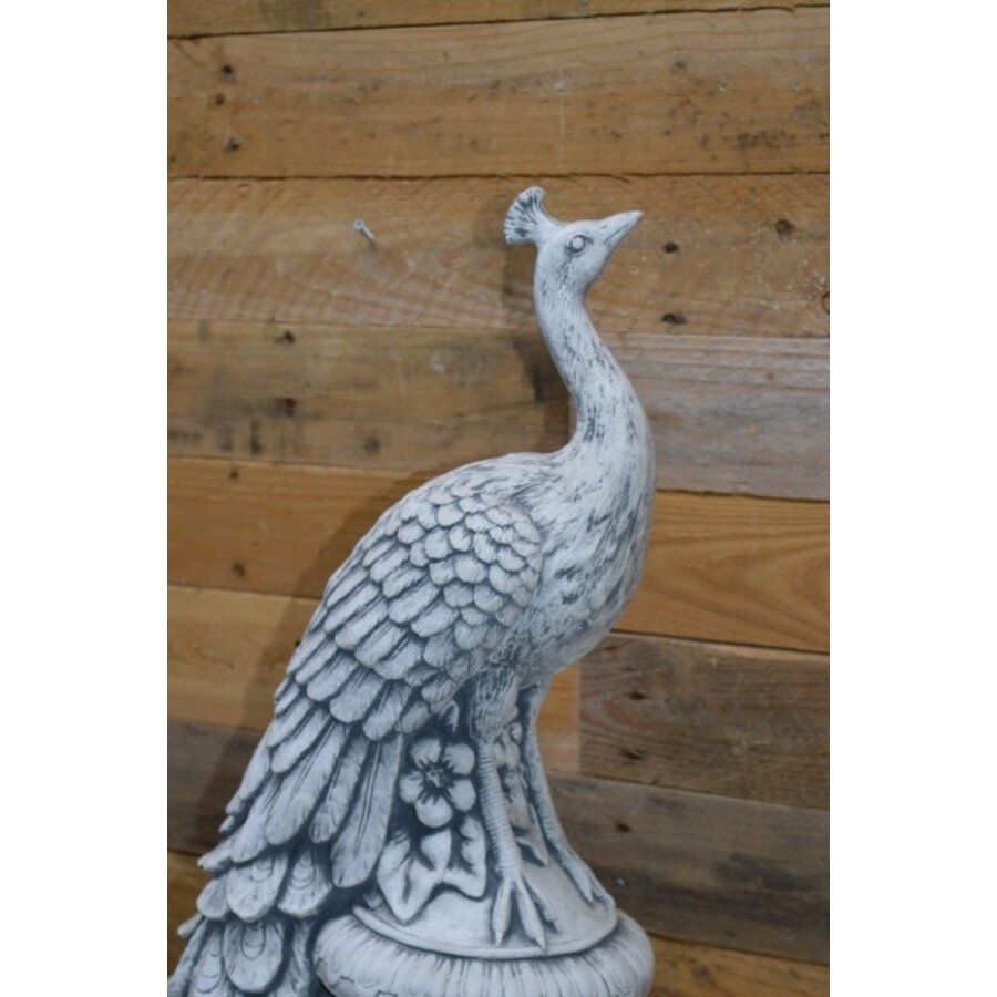 Betonnen pauw op tuinvaas – sierlijk ornament voor tuin of interieur-3