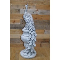 thumb-Betonnen pauw op tuinvaas – sierlijk ornament voor tuin of interieur-6