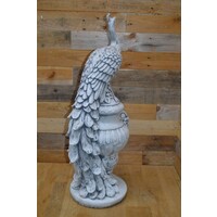 thumb-Betonnen pauw op tuinvaas – sierlijk ornament voor tuin of interieur-7
