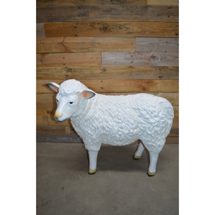 Levensecht wit schaap van kunststof – kijkt naar links-1