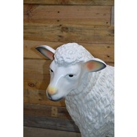 thumb-Levensecht wit schaap van kunststof – kijkt naar links-2