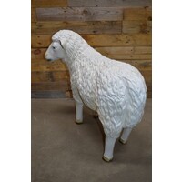 thumb-Levensecht wit schaap van kunststof – kijkt naar links-6
