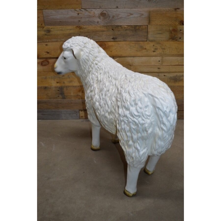 Levensecht wit schaap van kunststof – kijkt naar links-6