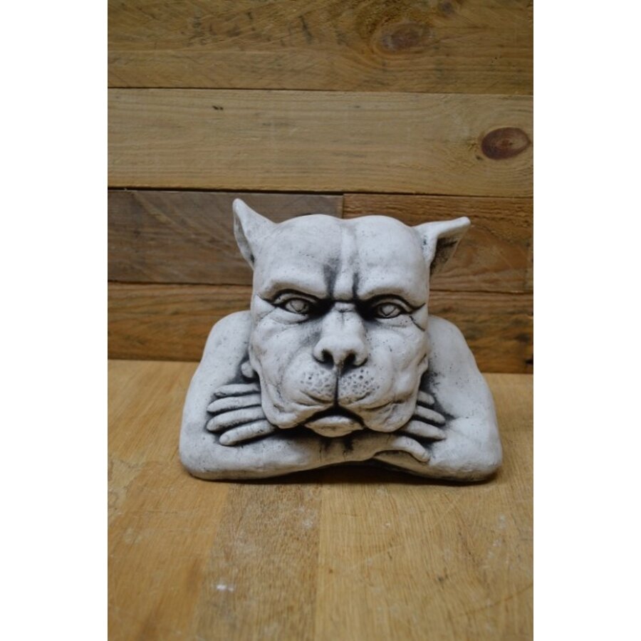 Voor zich uit starende waterspuwer – gotisch betonnen tuinbeeld-2