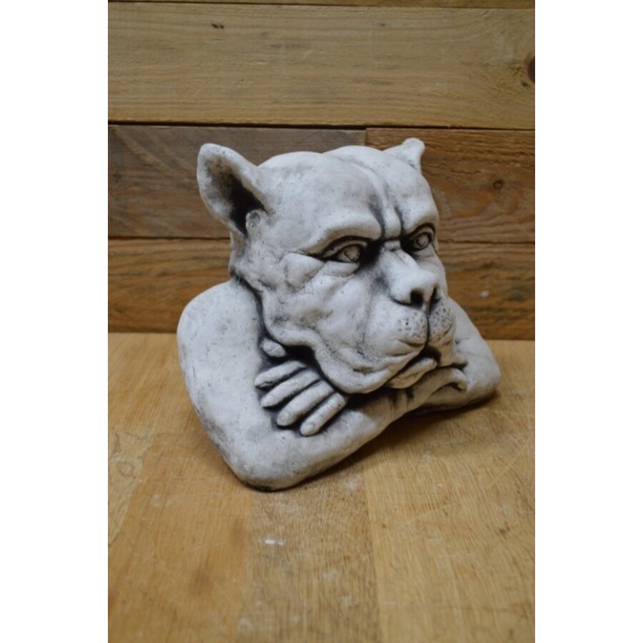 Voor zich uit starende waterspuwer – gotisch betonnen tuinbeeld-3