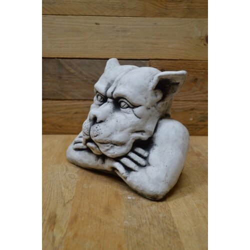 Betonnen beeld Starende waterspuwer 