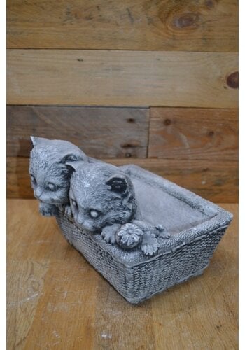 Poezen plantenbak beton 