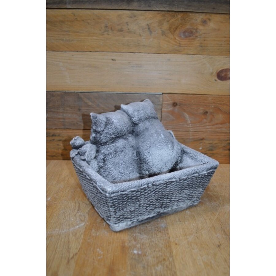 Decoratieve betonnen plantenbak met twee poesjes-3