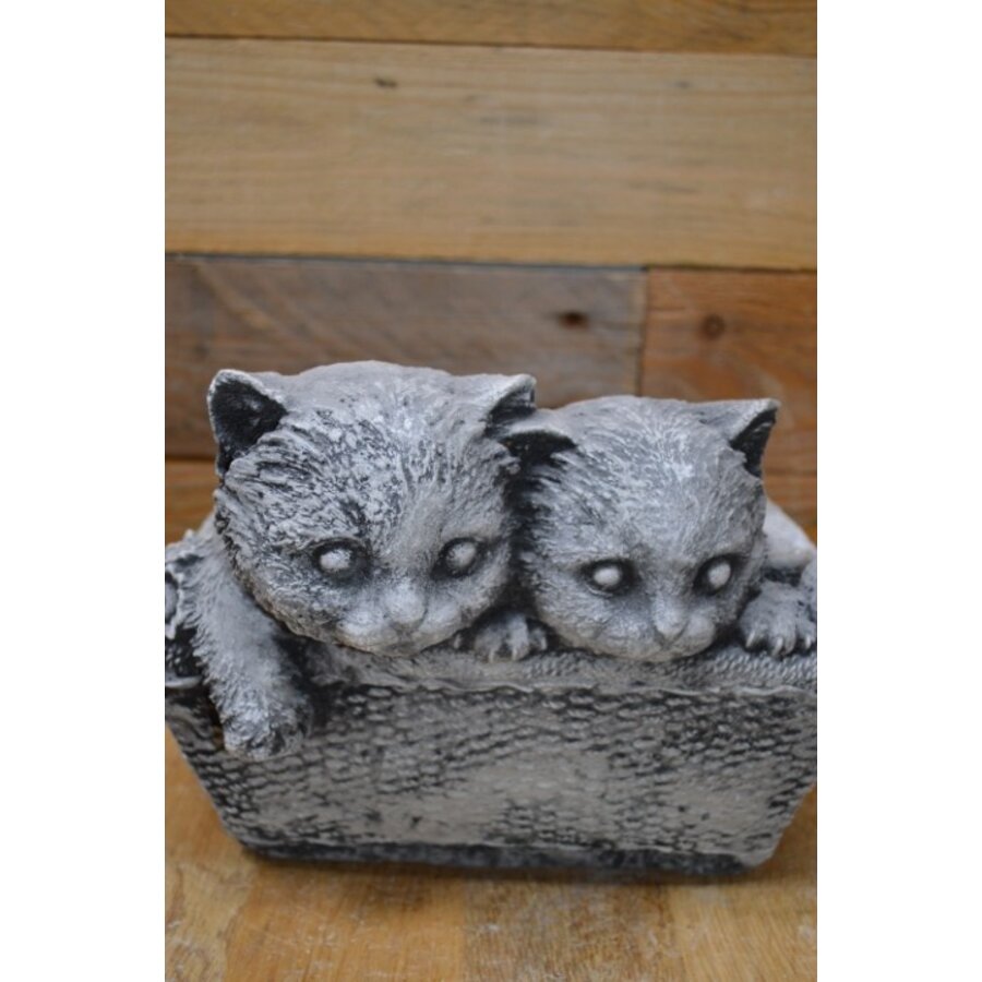 Decoratieve betonnen plantenbak met twee poesjes-6