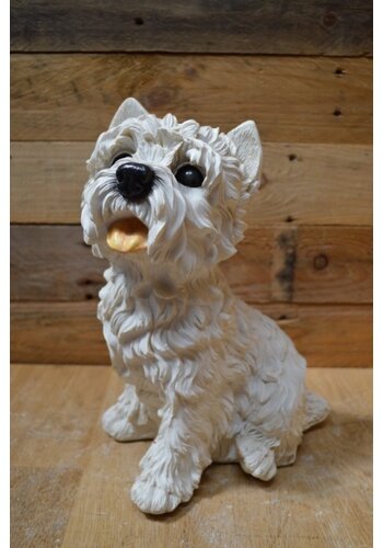 Hondje West Highland terrier 