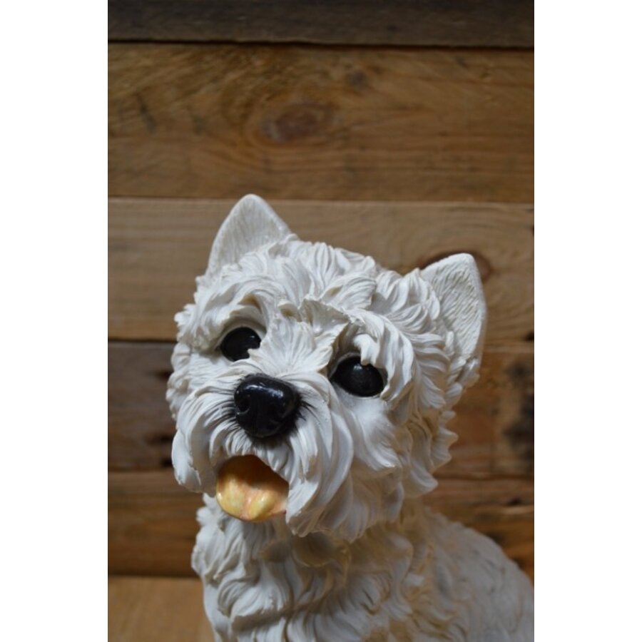 Hondje West Highland terrier gemaakt van polystone-2