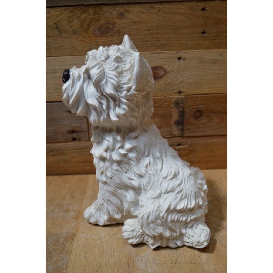 Decoratief polystone West Highland terriër beeld-3