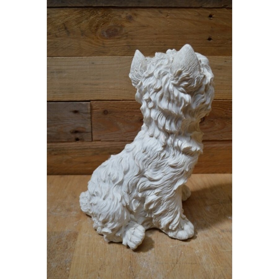 Decoratief polystone West Highland terriër beeld-5