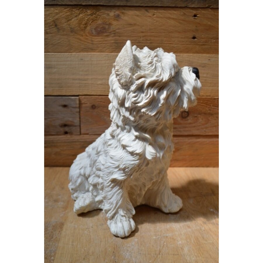 Decoratief polystone West Highland terriër beeld-6