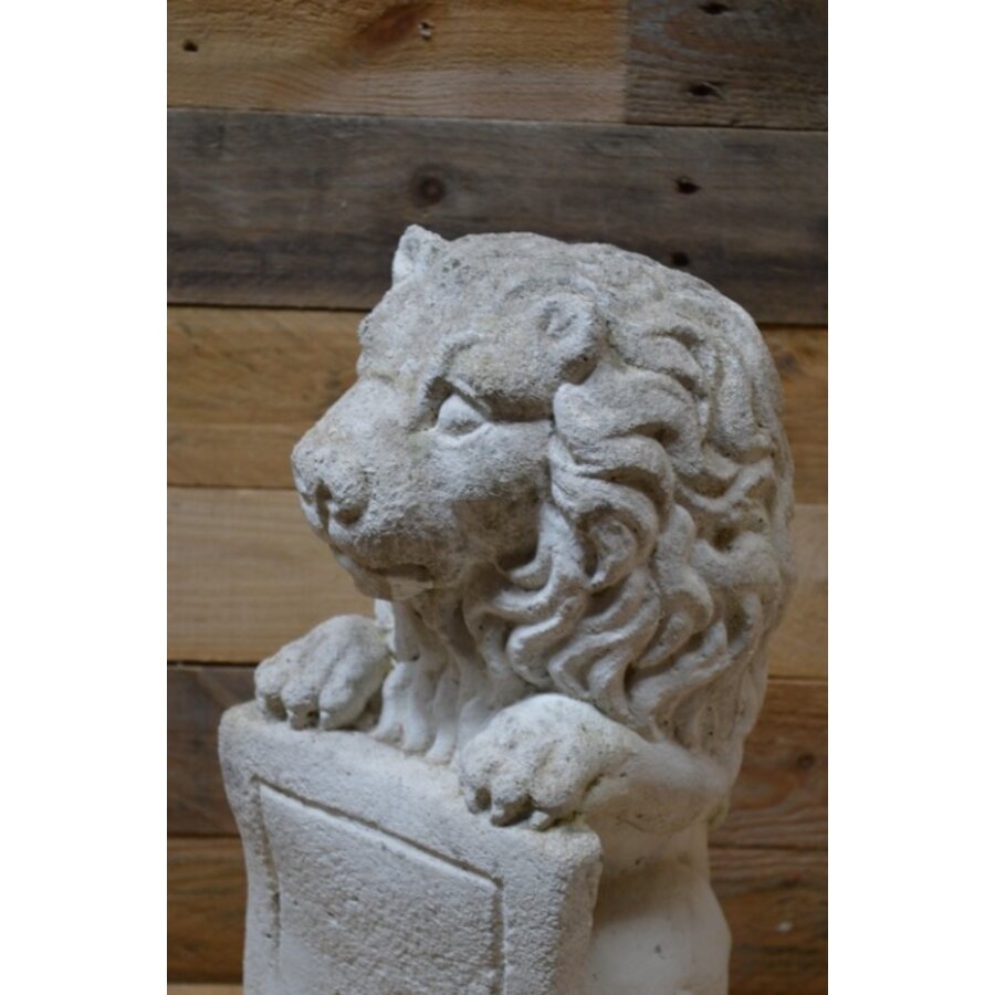 Tweedehands betonnen beeld van een leeuw met wapenschild en geleefd uiterlijk-6