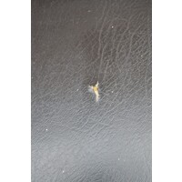 thumb-Vintage Bako keukenstoel van teak met skai zitting uit de jaren ’60-3