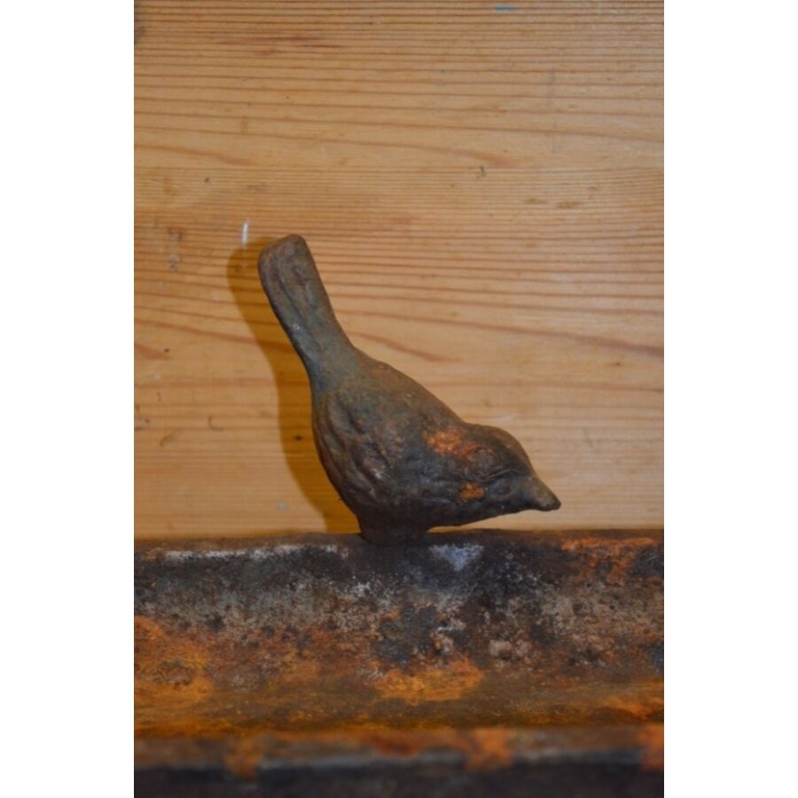 Oud gietijzeren vogelbadje met vogeltje – Decoratief tuinelement-3