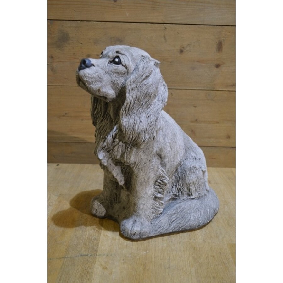 Betonnen beeld van een cocker spaniel hond voor tuin of interieur-1