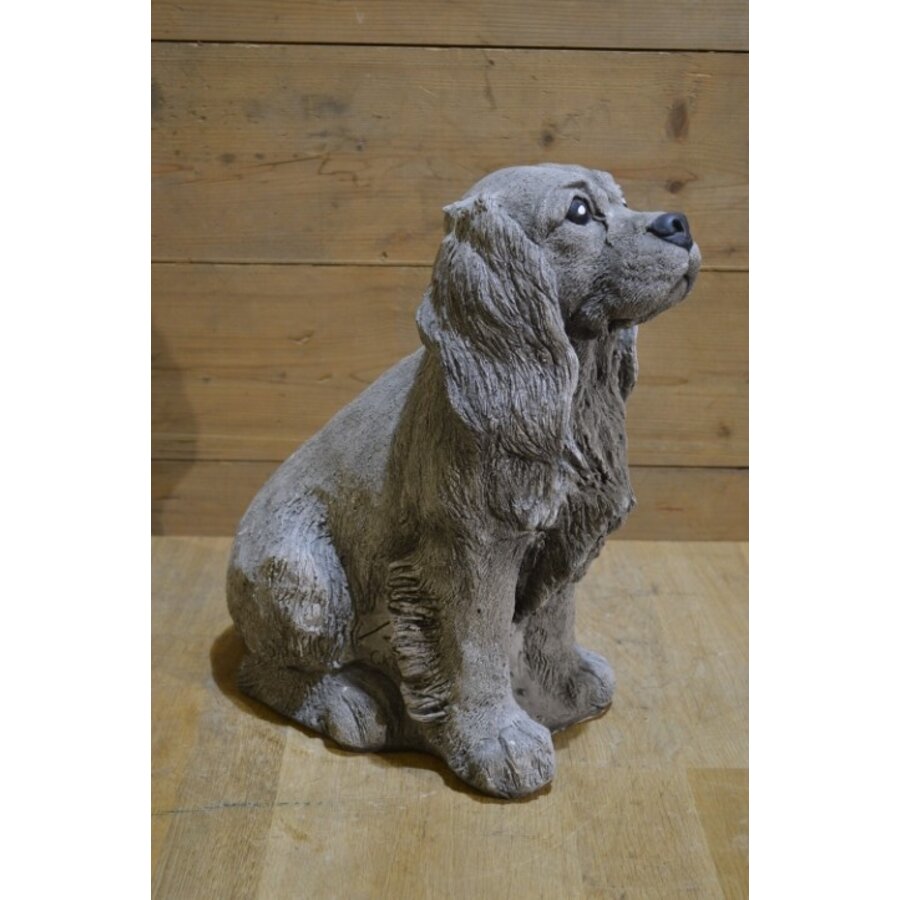 Betonnen beeld van een cocker spaniel hond voor tuin of interieur-3