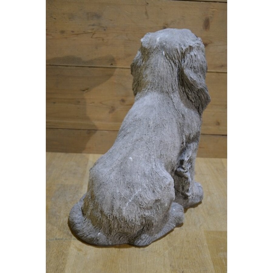 Betonnen beeld van een cocker spaniel hond voor tuin of interieur-4