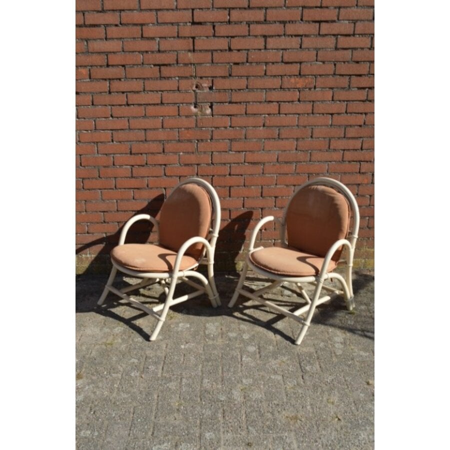Vintage rotan fauteuils met bruine kussens 2x-1