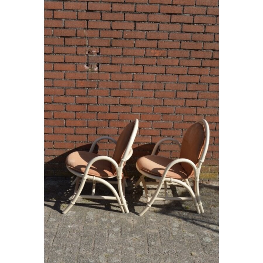 Vintage rotan fauteuils met bruine kussens 2x-3
