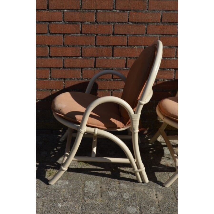 Vintage rotan fauteuils met bruine kussens 2x-4