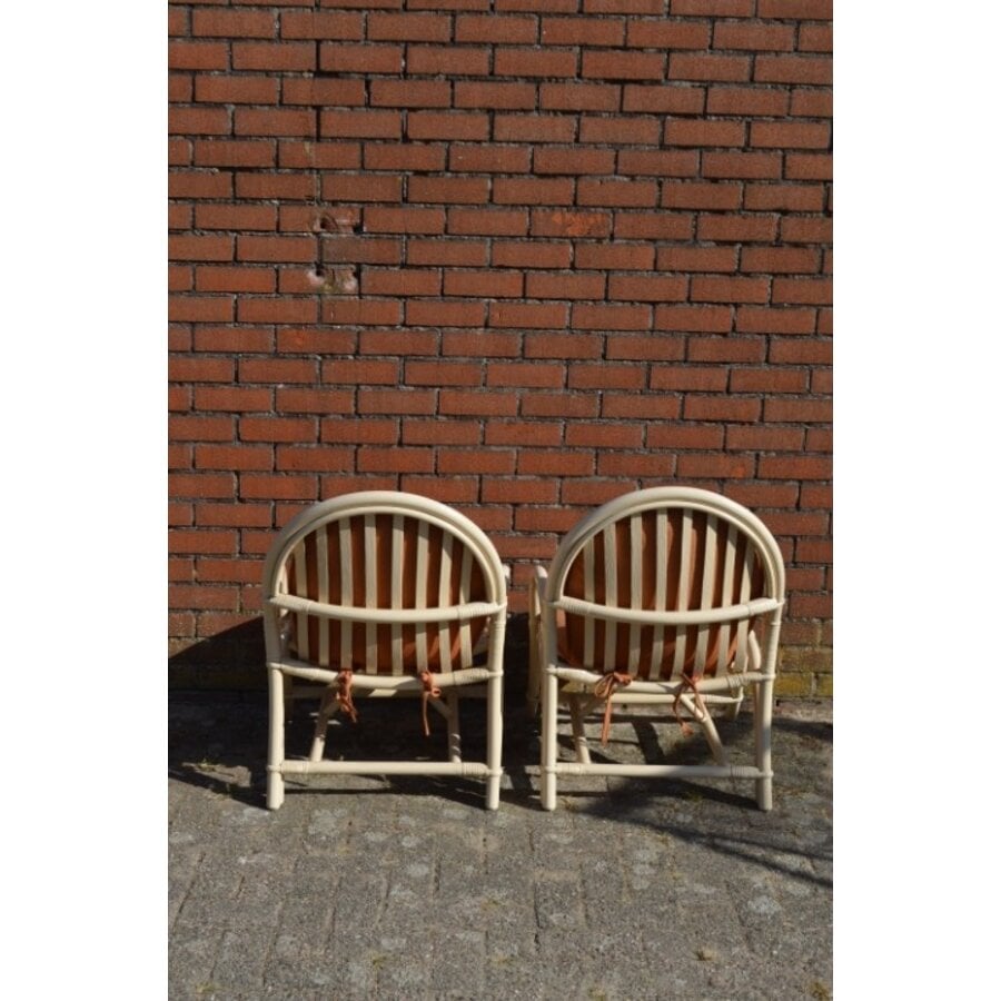 Vintage rotan fauteuils met bruine kussens 2x-5