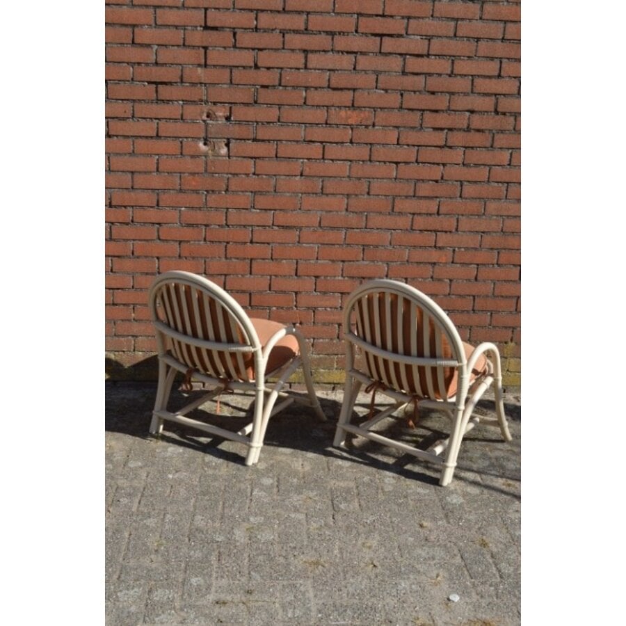 Vintage rotan fauteuils met bruine kussens 2x-6