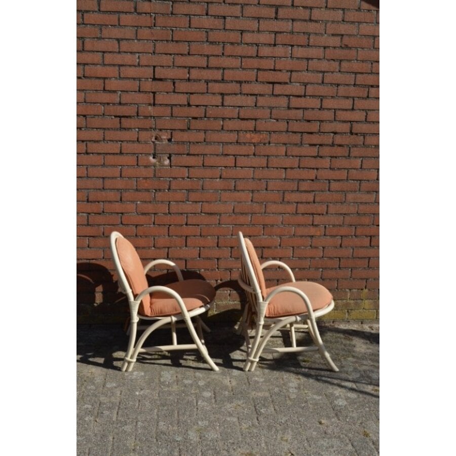 Vintage rotan fauteuils met bruine kussens 2x-7