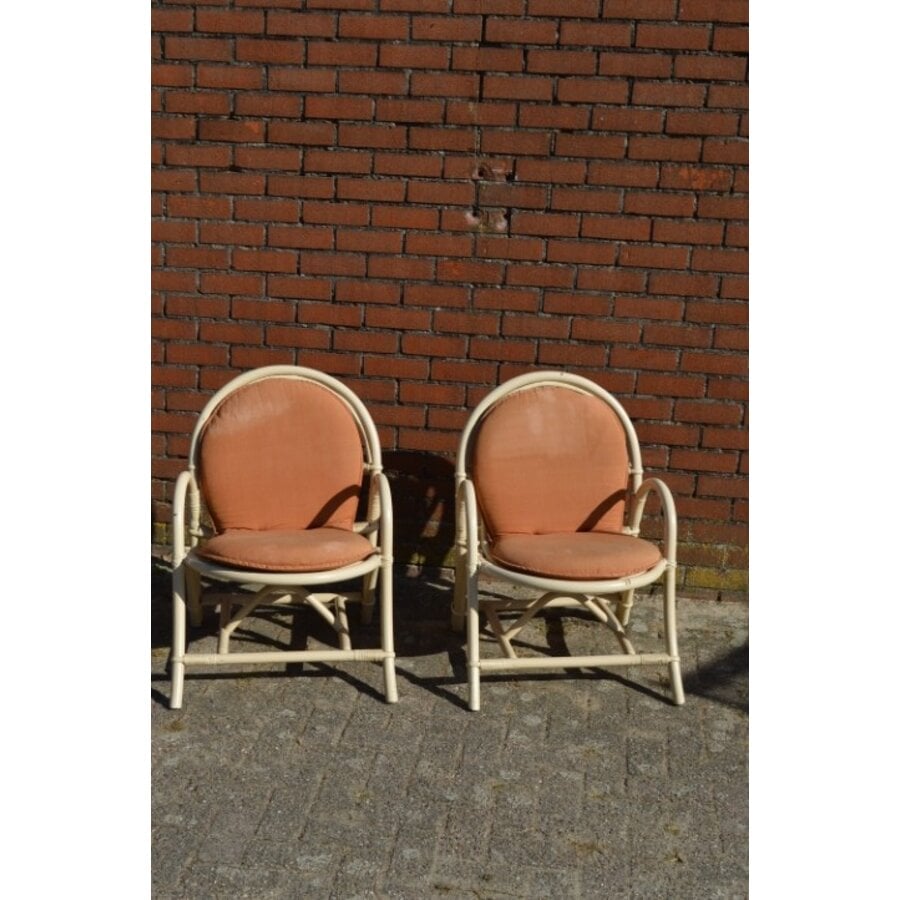 Vintage rotan fauteuils met bruine kussens 2x-9