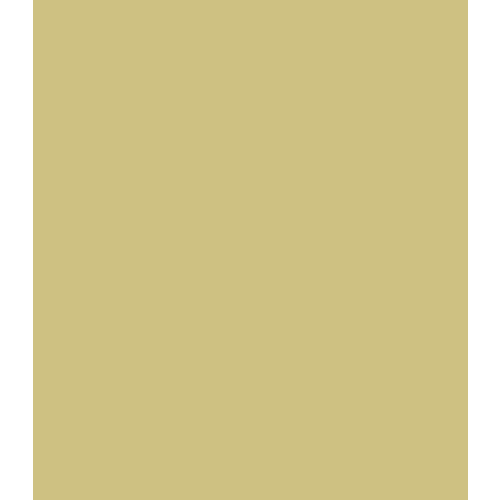 Fosco Army Paint WH. Khaki Tropen